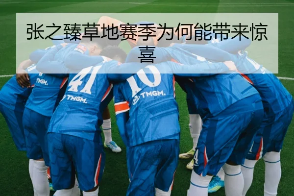 张之臻草地赛季为何能带来惊喜